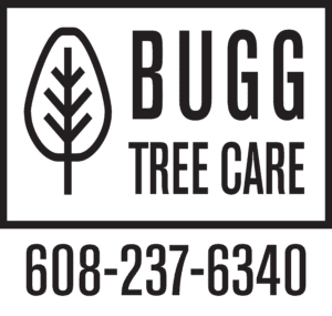 BUGG TREE CARE logo lockup on a white background, with their phone number
