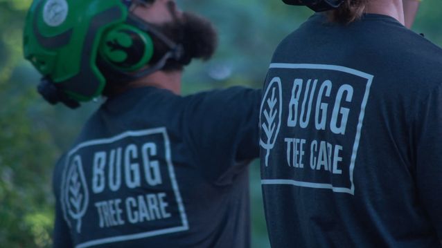 ROPE SWINGS: HEALTHY FUN FOR OUR COMMUNITIES - BUGG TREE CARE
